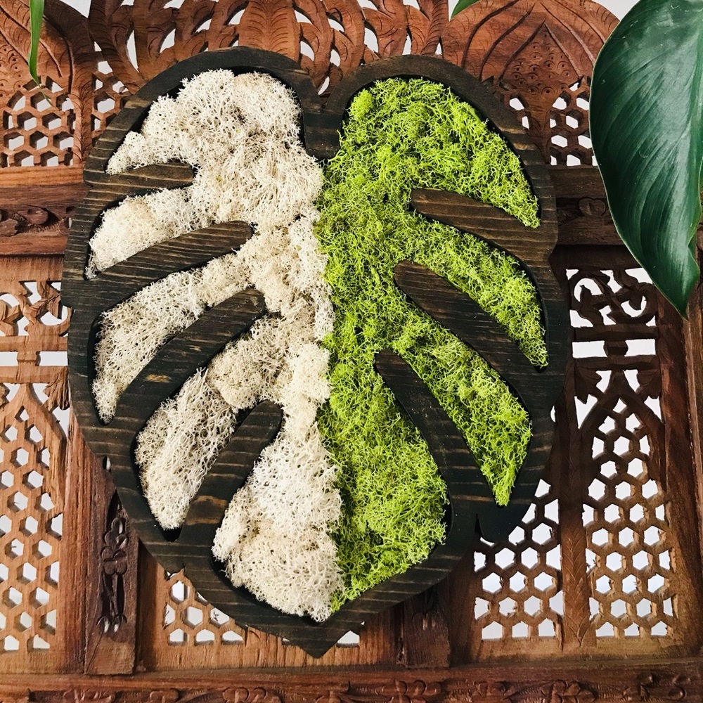 Albo Monstera Wooden Wall Art Filled With Moss